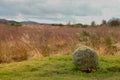 Clan Fraser Memorial Stone