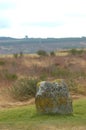 Clan MacKintosh Memorial Stone