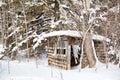 A clapboard shed tucked in the forest Royalty Free Stock Photo