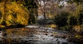 Clapham Beck Bridge View_Morning