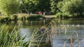 Clapham Commons, London - the pond/straws of grass. Royalty Free Stock Photo