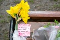 CLAPHAM, LONDON, ENGLAND- 16 March 2021: Flowers and tributes on a bench near Clapham Common Bandstand, in memory of Sarah Everard Royalty Free Stock Photo