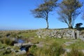 Clapper Bridge and Longash Leat, Dartmoor, Devon, UK Royalty Free Stock Photo