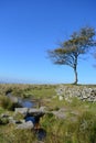 Clapper Bridge over Longash Leat, Dartmoor National Park, Devon Royalty Free Stock Photo