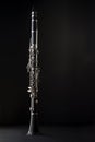 Clarinet Royalty Free Stock Photo