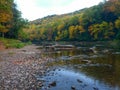 Clarion River with fall foliage