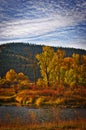 The Clark Fork River Fall Colors Royalty Free Stock Photo