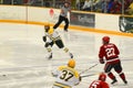 Clarkson #27 in NCAA Hockey Game Royalty Free Stock Photo