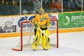 Clarkson Goalie #33 in NCAA Hockey Game Royalty Free Stock Photo