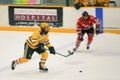 Clarkson #12 in NCAA Hockey Game