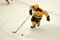 Clarkson #29 in NCAA Hockey Game