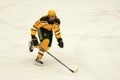 Clarkson #21 in NCAA Hockey Game