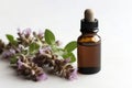 Clary Sage Essential Oil In Small Brown Bottle Next To Clary Sage On White Background. Generative AI