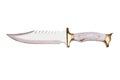 Clasp knife isolated over white background Royalty Free Stock Photo