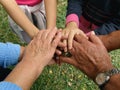 Clasped hands Royalty Free Stock Photo