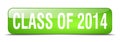 class of 2014 green square 3d realistic web button