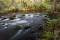 Class II Rapids on the Hillsborough River