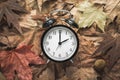 Classic Alarm Clock on Autumn Leaves