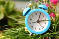 Classic alarm clock with grass