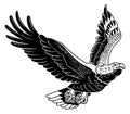 Classic American wild eagle emblem in the fly