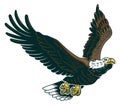 Classic American wild eagle emblem in the fly Royalty Free Stock Photo