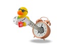 Wake up doctor duck Royalty Free Stock Photo