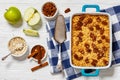 classic apple crisp with oats and pecan nuts Royalty Free Stock Photo