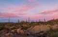 Classic Arizona Desert Landscape With Cactus At Dusk