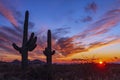 Classic Arizona Desert Landscape With Cactus