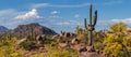 Classic Arizona Desert Landscape In The Spring