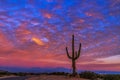 Classic Arizona Sunset Landscape With Cactus