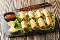Classic Asian starter chicken nems or Cha gio closeup on the plate. Horizontal Royalty Free Stock Photo