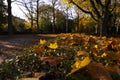 Classic autumn landscape in Jubilee Park or Parc du Cinquantenaire, Brussels Royalty Free Stock Photo