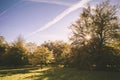 Classic autumn view. Bright sunny day and beautiful colored trees in vintage retro tones