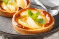 Classic baked Apple tartlet with custard and mint closeup in a plate. Horizontal