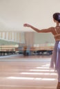 Classic ballet dancer posing at barre on rehearsal Royalty Free Stock Photo