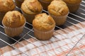 Classic Banana Nut Muffins