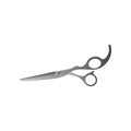 Classic barber scissors with sharp ends for cutting hair isolated on white background Royalty Free Stock Photo
