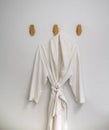 Classic bathrobe hanging on wooden abstract wall hook mounted ag
