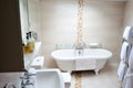 Classic bathroom interior Royalty Free Stock Photo