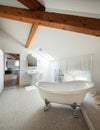 Classic bathroom with white tub Royalty Free Stock Photo