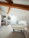 Classic bathroom with white tub