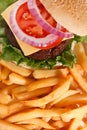 Classic beef cheeseburger with potato fries