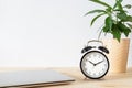 Classic black alarm clock, laptop and potted plant on wooden table with white background and copy space Royalty Free Stock Photo