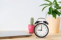 Classic black alarm clock, laptop and potted plant on wooden table with white background and copy space Royalty Free Stock Photo