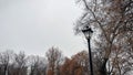 Classic black park lantern against a gray winter sky framed by bare and withered brown tree branches a cold mood Royalty Free Stock Photo