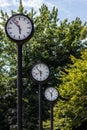 Classic black and white analog clocks with synchronized time show teamwork and synced project management with time management and