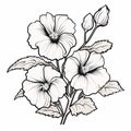 Classic Black And White Hollyhock Drawing For Kids Coloring Book