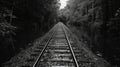 A classic black and white image of an abandoned train track landscape Royalty Free Stock Photo