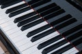 Piano keys close up. Royalty Free Stock Photo